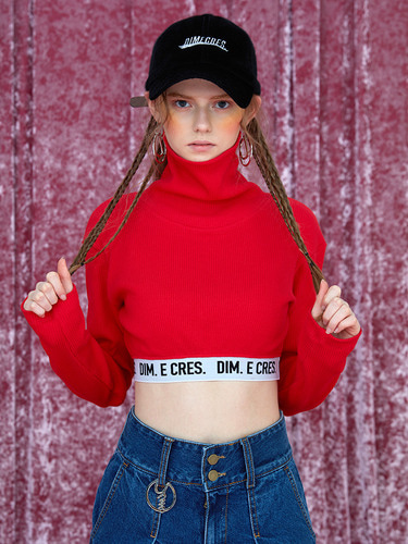 DIM. BAND TURTLE NECK